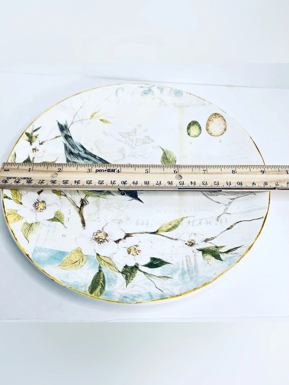 Pier 1 Imports Field Notes Bird Floral Earthenware Dinner Plate 9” Nature